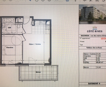 Location Appartement avec balcon 2 pièces Bischheim (67800) - STANDING NEUF -TOUTES CHARGES