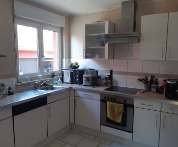 Location Appartement avec terrasse 4 pièces Betschdorf (67660) - 43 rue de la Sauer