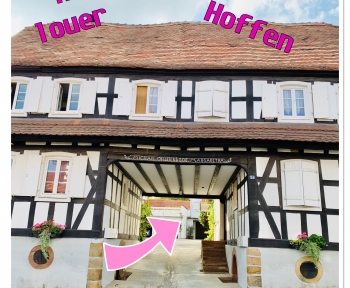 Location Appartement 4 pièces Hoffen (67250)